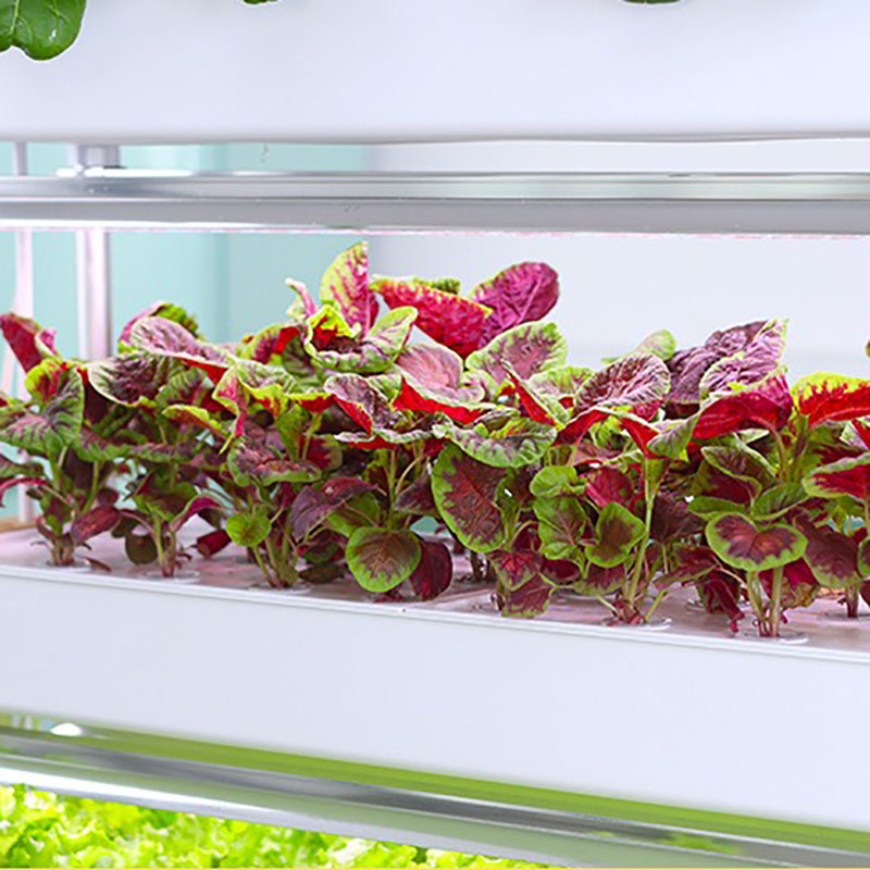 Система выращивания гидропоник – обзор и цена Hydroponic Tower Planter